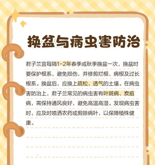 君子兰修剪技巧有哪些？