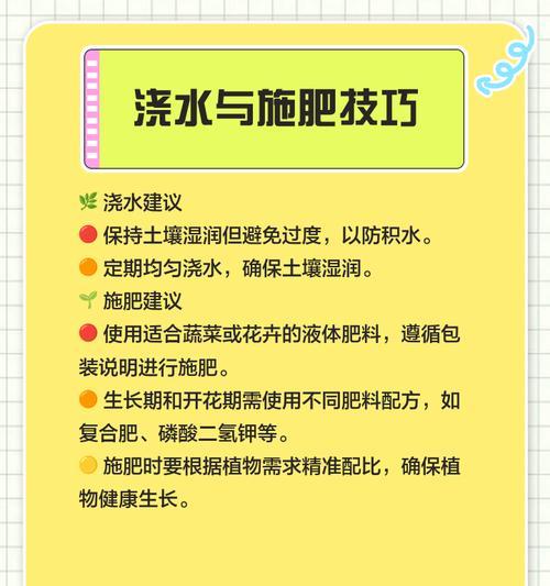 旱瓜栽培技术要点？有哪些高效栽培方法？
