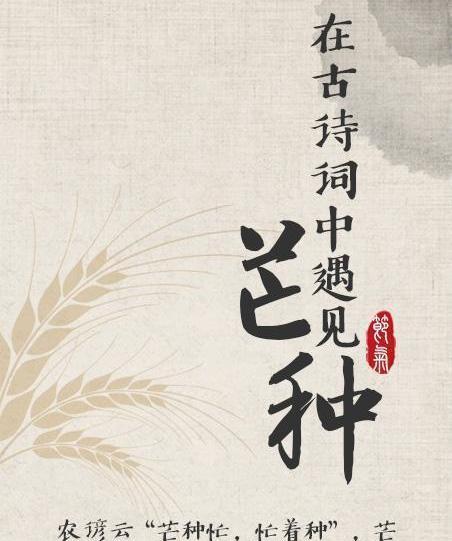 播种相关的诗句有哪些？
