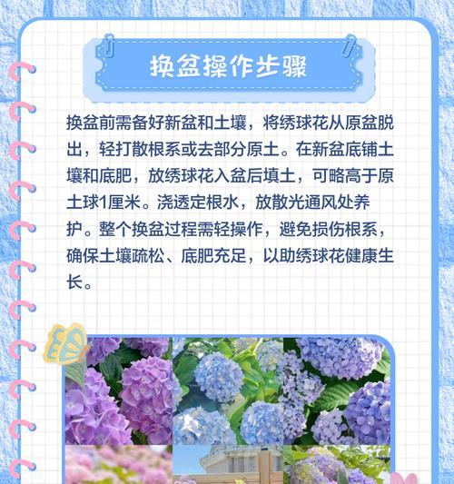 淘汰月季绣球的处理方法是什么？如何再利用？