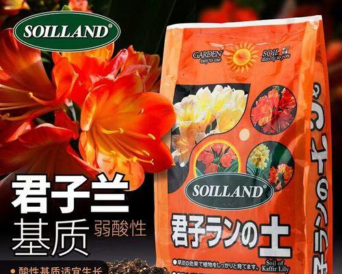 圆叶君子兰用什么土养？适合圆叶君子兰的土壤类型有哪些？
