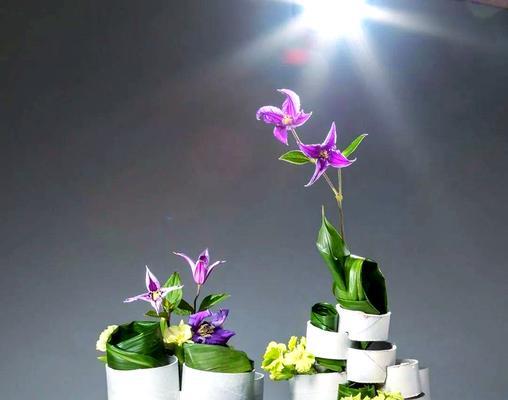 铁线莲假花的摆放技巧有哪些？