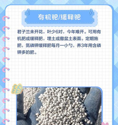 栽君子兰用什么肥料好呢？如何选择合适的肥料？