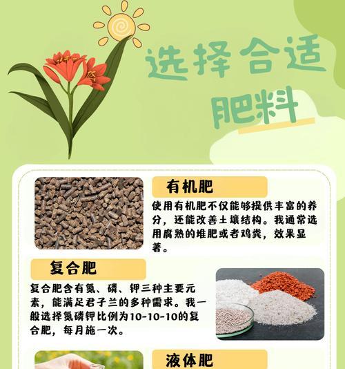 栽君子兰用什么肥料好呢？如何选择合适的肥料？