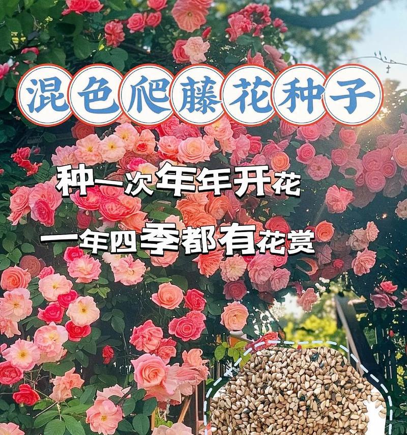 爬藤花阳台的作用是什么？