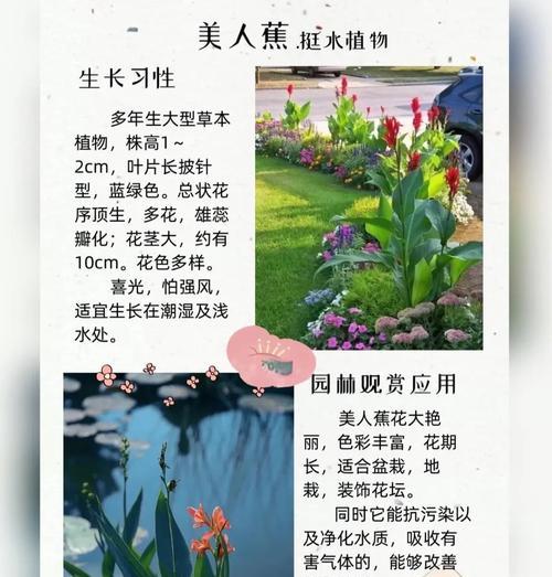 水生植物测定生物量指标有哪些？如何科学评估水生植物的生长？