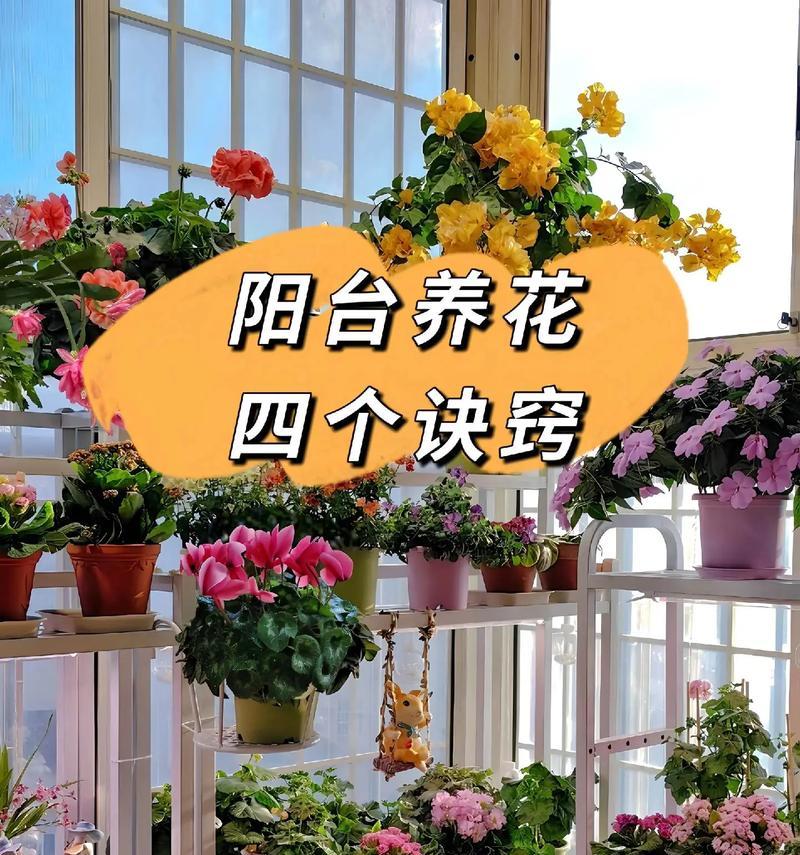 家中阳台适合种植哪些类型的花卉？