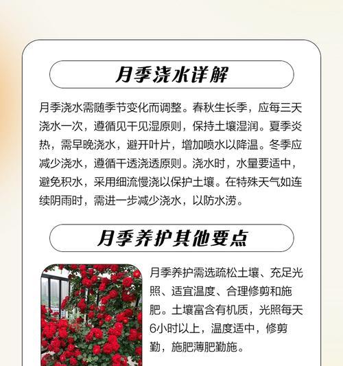 月季种下怎么养护好？养护的正确方法是什么？