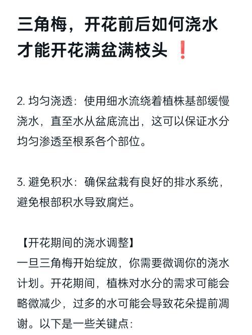 栽苗时如何掌握正确的浇水方法？