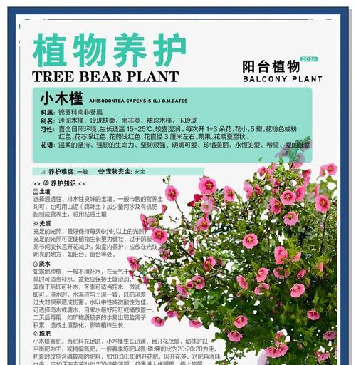 小木槿小苗叶子发黄的处理方法是什么？
