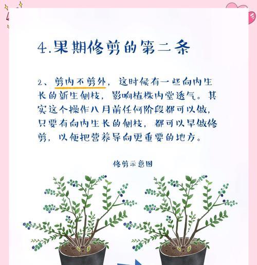 蓝莓树栽培技术要点及常见问题解答？