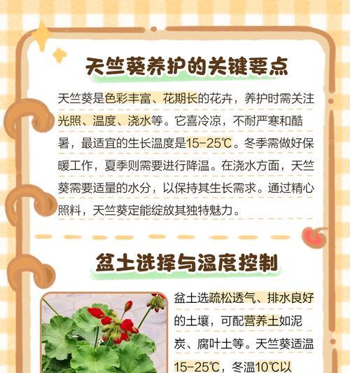 牵藤天竺葵的养护方法是什么？如何使其茁壮成长？