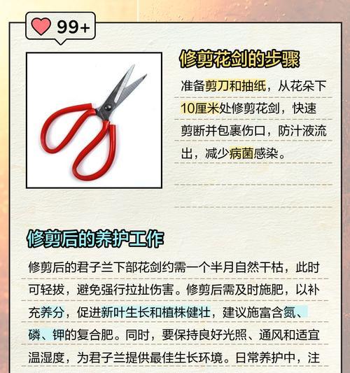 君子兰长虫了怎么处理？