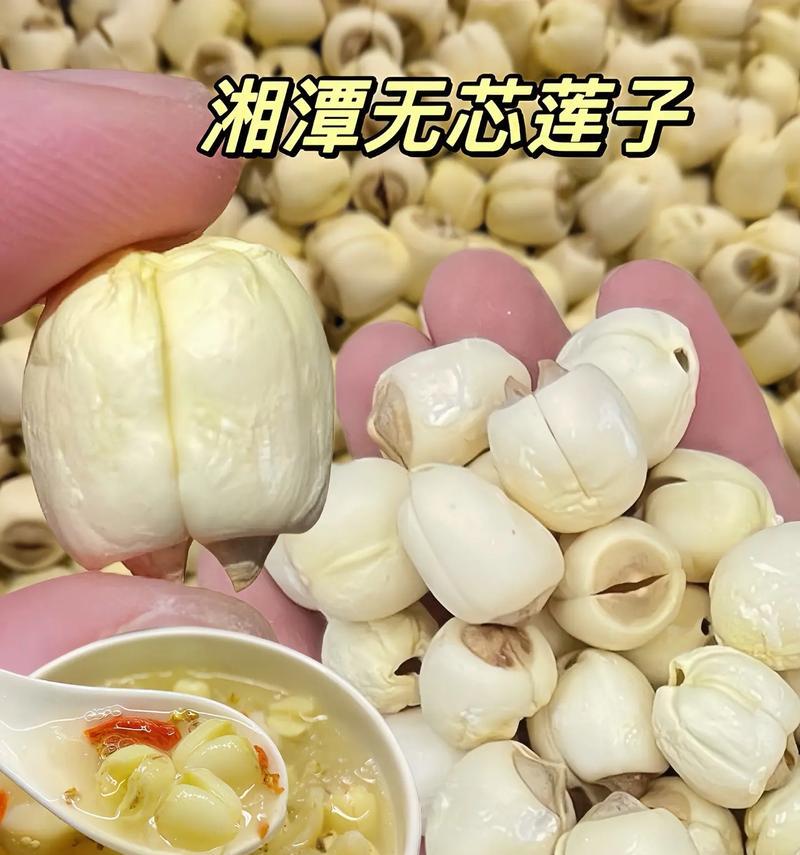 链子栽培技术有哪些？垂直种植的创新方法？