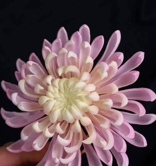 春明多久繁殖一次花卉？花卉繁殖的最佳时机是什么时候？
