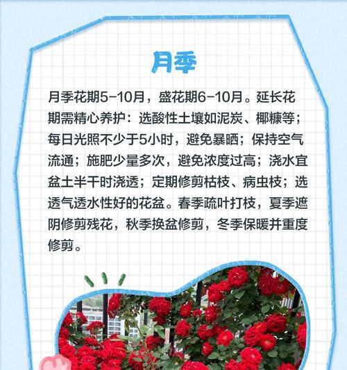 春明多久繁殖一次花卉？花卉繁殖的最佳时机是什么时候？
