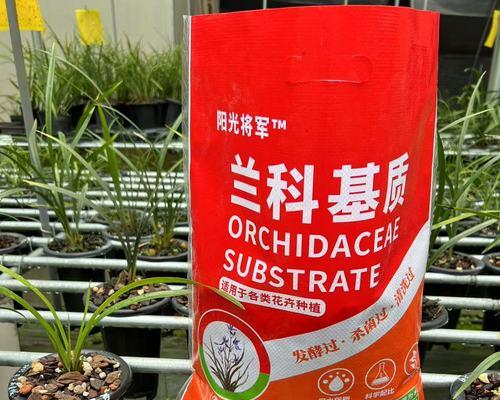 养君子兰的土还适合养什么植物？