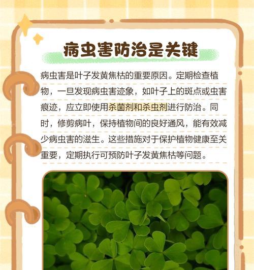 植物叶子发黄萎缩如何救活？
