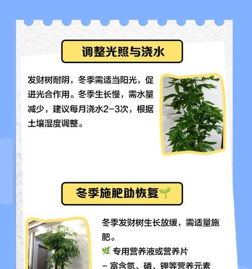 植物叶子发黄萎缩如何救活？