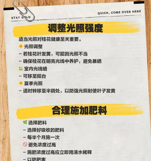 叶子顶部发黄干枯怎么补救？可能的原因和解决方法是什么？