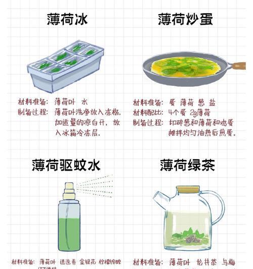 盆景长枝薄荷的养护方法是什么？
