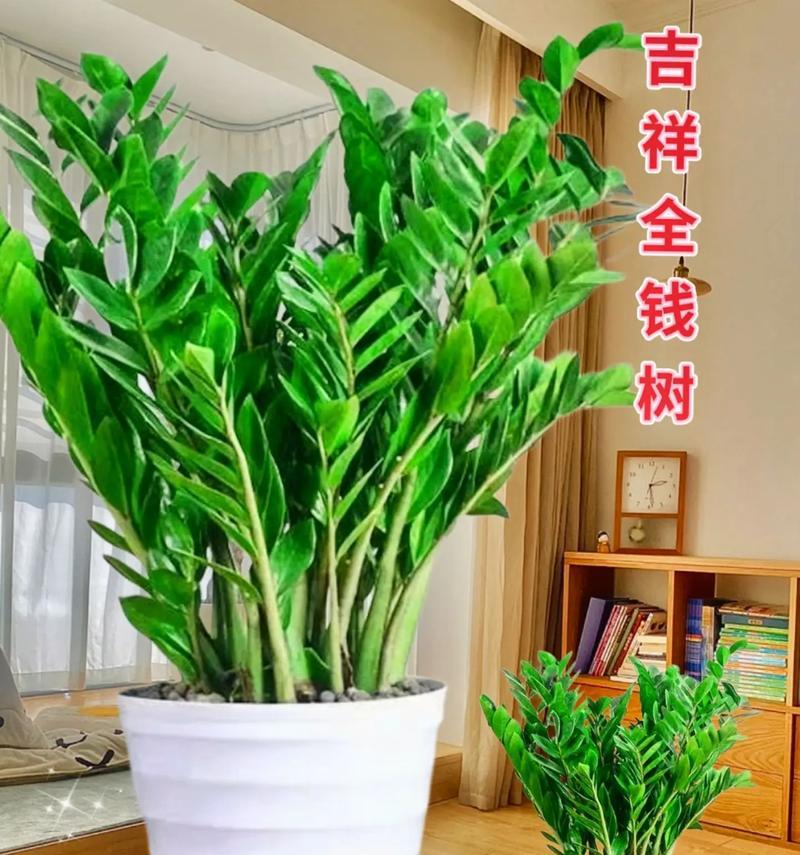 盆景小摆件草屋摆放技巧有哪些？