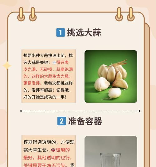 大蒜芽苗栽培技术要点是什么？如何确保其健康生长？