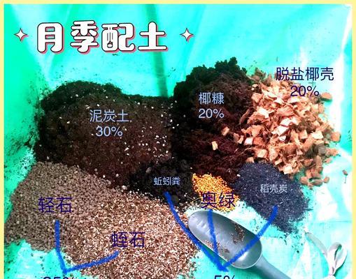 自制玫瑰泥土肥料的配方是什么？
