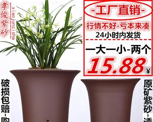 家养君子兰用什么花盆最好？选择花盆的要点是什么？