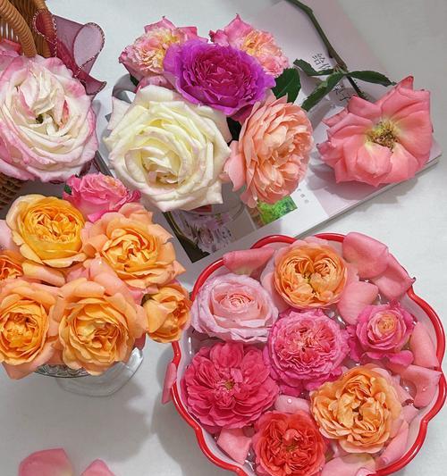 绣球月季花篮插花技巧是什么？