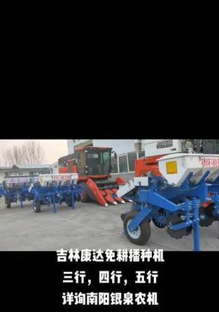 南阳地区玉米的最佳播种时间是什么时候？