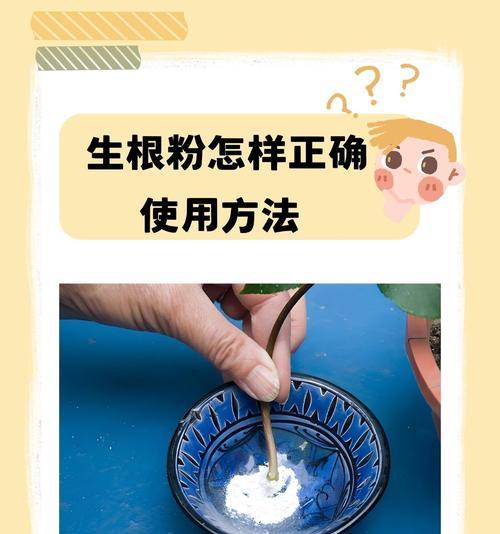 木本植物使用生根液的正确方法是什么？