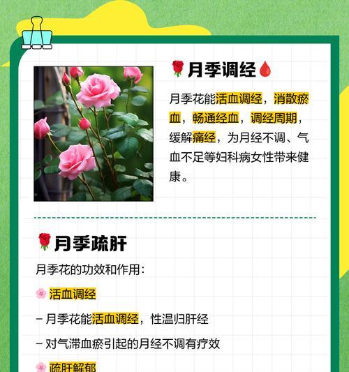 月季立竿的方法是什么？有什么好处？