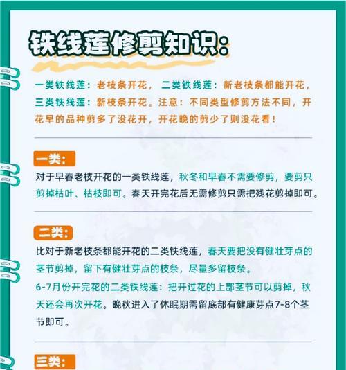 铁线莲的正确养护方法是什么？