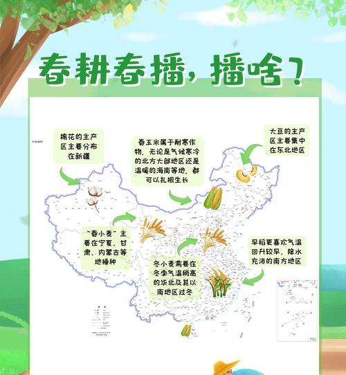 小麦的最佳播种时间是什么时候？播种前需要做哪些准备？