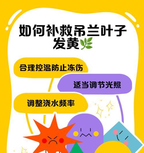 植物晒太阳后叶子发黄应如何补救？