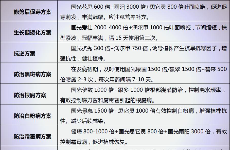 月季如何实现持续开花？
