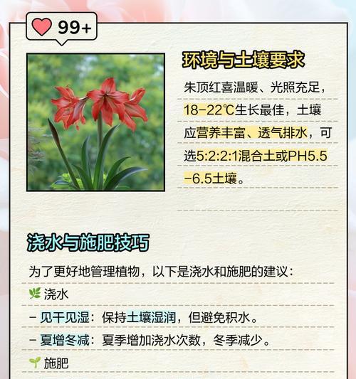 秋天朱顶红施肥指南？
