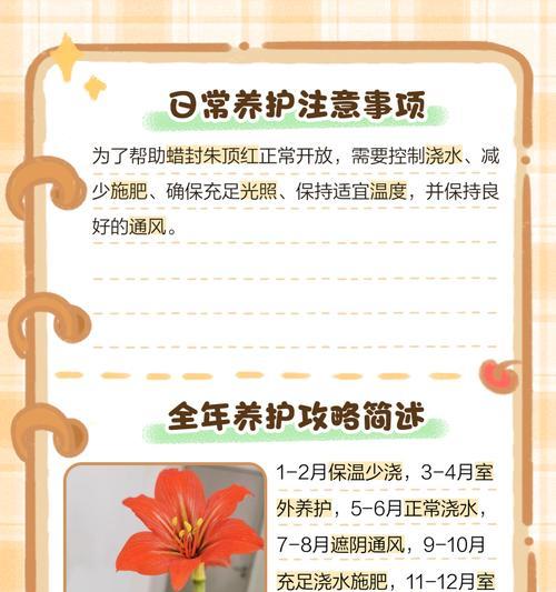 秋天朱顶红施肥指南？