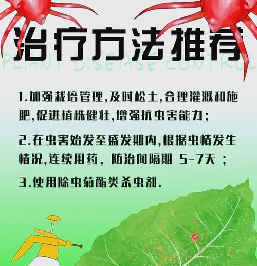 铁线莲染上红蜘蛛怎么办？防治方法有哪些？