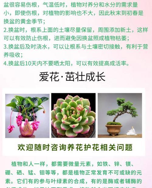 观赏植物复合肥的种类和选择方法是什么？