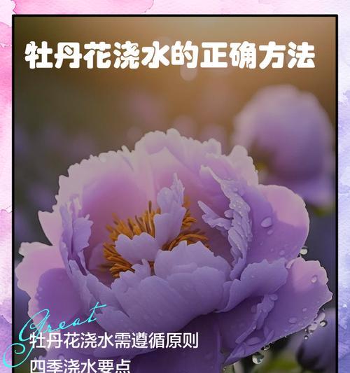 水果玉米如何浇水？正确的浇水方法有哪些？
