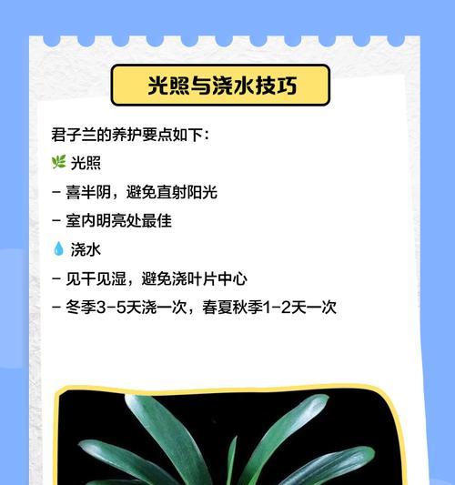 如何挑选优质的君子兰？
