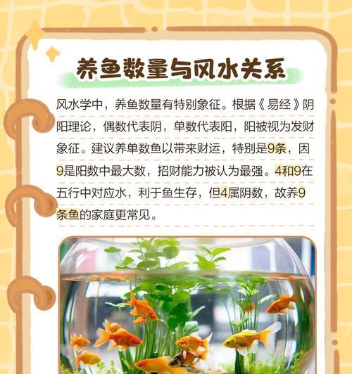 大鱼缸中种植观赏植物的好处是什么？