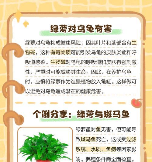 大鱼缸中种植观赏植物的好处是什么？