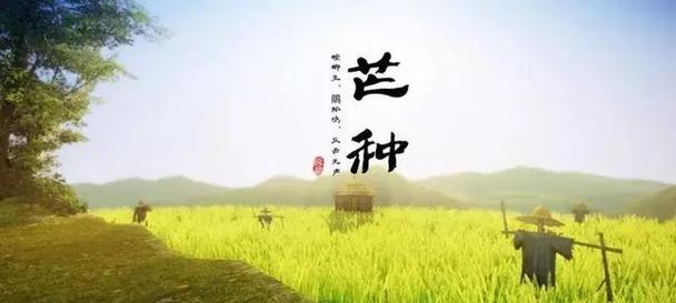 玉米播种最佳节气是什么时候？如何选择？