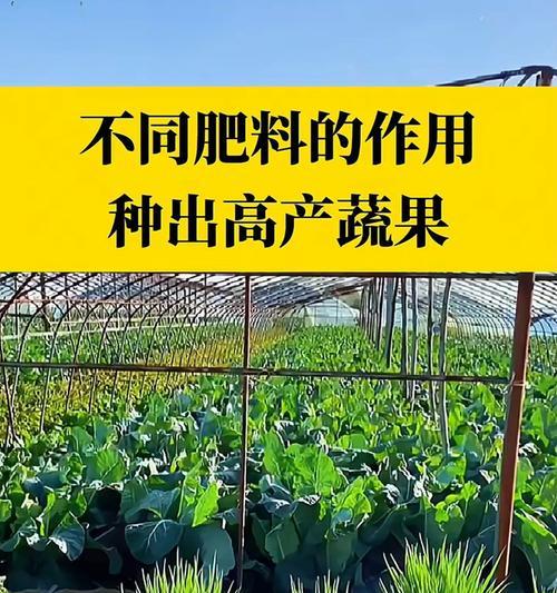 种菜肥施肥技巧有哪些方法？如何正确施肥？