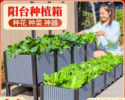 君子兰秋后苞叶如何控制？