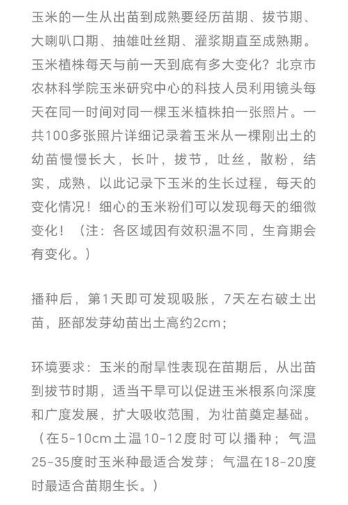 穿玉米播种的正确时节是何时？