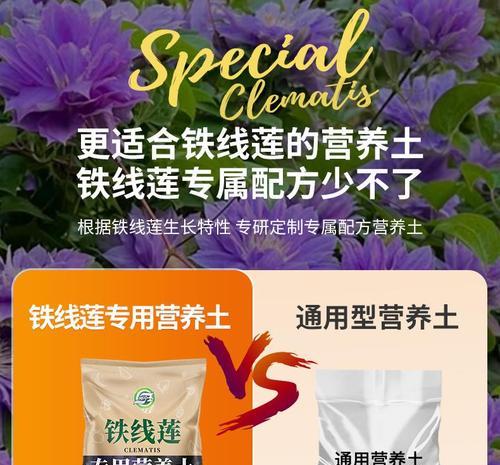 铁线莲施肥应该选择哪种肥料？